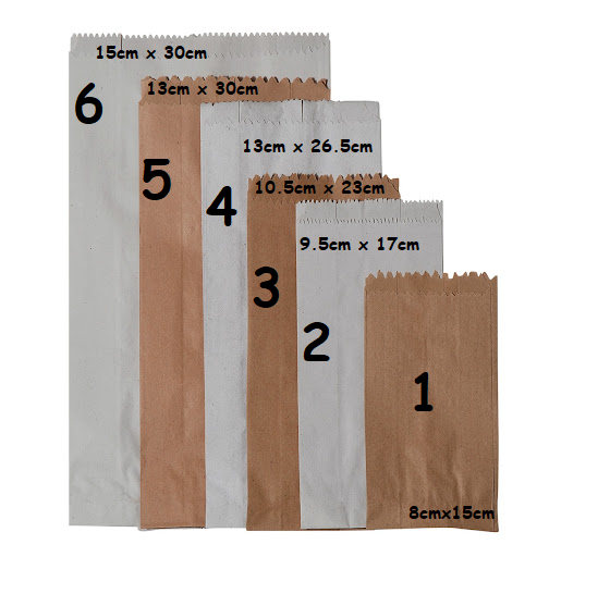 BOLSA PAPEL N1 X100U